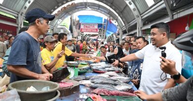 Harga Daging Ayam di Sumut Mulai Turun Harga Daging Ayam di Sumut Mulai Turun