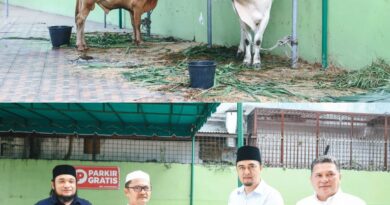 Dirut Perumda Tirtanadi Serahkan 13 Ekor Hewan Sapi Kurban Dirut Perumda Tirtanadi Serahkan 13 Ekor Hewan Sapi Kurban