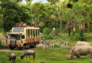 Taman Safari Indonesia Siap Dukung Transformasi Kebun Binatang Bandung sebagai Lembaga Konservasi Modern