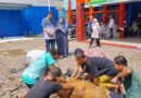 SMSI Sumut dan STIK-P Medan Sembelih Hewan Kurban SMSI Sumut dan STIK-P Medan Sembelih Hewan Kurban