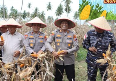 Dukung Program Asta Cita, Polres Tanjungbalai Sukses Gelar Panen Raya Jagung 6 Ton