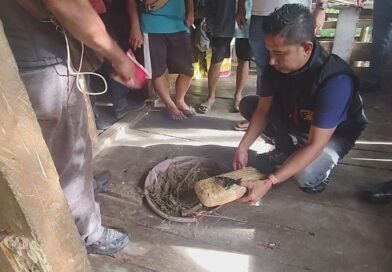 Polsek Bahorok Gagalkan Peredaran 2 Kg Ganja di Bukit Lawang, Seorang Pria Diamankan