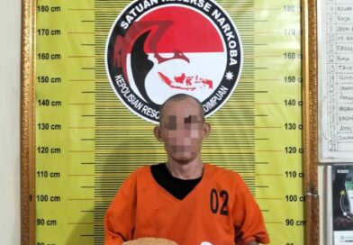 Saat Bawa 900 Gram Ganja, Pria 53 Tahun di Padangsidimpuan Ditangkap