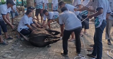 Tebar Qurban Alumni Lintas Angkatan SMPN 3 Medan Tebar Qurban Alumni Lintas Angkatan SMPN 3 Medan