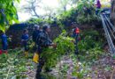 Peringati Hari lingkungan Hidup Sedunia, Pemko Medan Sukses Kumpulkan 28 Ton Sampah Dalam Aksi Gotong Royong Massal