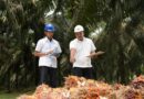 Holding Perkebunan Nusantara Perkuat Daya Saing SDM, PalmCo Targetkan 5.120 Sertifikasi Kompetensi