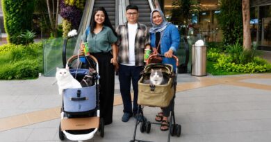 Main Bareng Anabul Di Grand Galaxy Park yang Cat Friendly