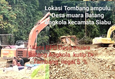 PETI di Muara Batang Angkola Terorganisir ,Kades dan BPD Diduga Terlibat,Satgas Diminta Menindak Tegas