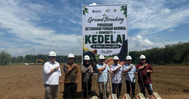PTPN IV PalmCo Matangkan Pilot Project Kedelai Dukung Percepatan Swasembada Pangan Nasional