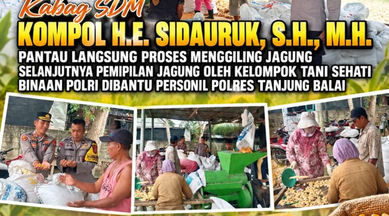 Polres Tanjungbalai Dampingi Kelompok Tani Sei Raja Olah Hasil Panen Jagung Polres Tanjungbalai Dampingi Kelompok Tani Sei Raja Olah Hasil Panen Jagung