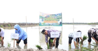 Gerakan Tanam 50.000 Hektare, Bupati Sergai Ajak Milenial Bertani dan Apresiasi Kementerian RI Gerakan Tanam 50.000 Hektare, Bupati Sergai Ajak Milenial Bertani dan Apresiasi Kementerian RI