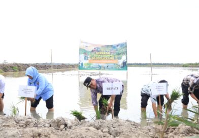 Gerakan Tanam 50.000 Hektare, Bupati Sergai Ajak Milenial Bertani dan Apresiasi Kementerian RI