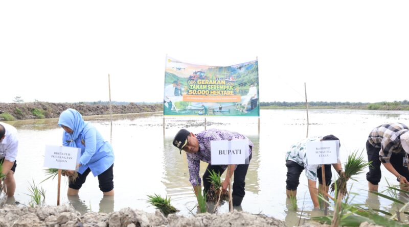 Gerakan Tanam 50.000 Hektare, Bupati Sergai Ajak Milenial Bertani dan Apresiasi Kementerian RI Gerakan Tanam 50.000 Hektare, Bupati Sergai Ajak Milenial Bertani dan Apresiasi Kementerian RI