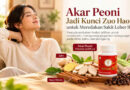 Akar Peoni Jadi Kunci Zuo Hao Shi untuk Meredakan Sakit Leher Belakang Akar Peoni Jadi Kunci Zuo Hao Shi untuk Meredakan Sakit Leher Belakang