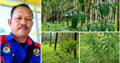 AJH Sergai Minta APH Usut Dugaan Penyimpangan Anggaran Pemeliharaan Milik PTPN IV Regional 1 Kebun Tanah Raja AJH Sergai Minta APH Usut Dugaan Penyimpangan Anggaran Pemeliharaan Milik PTPN IV Regional 1 Kebun Tanah Raja