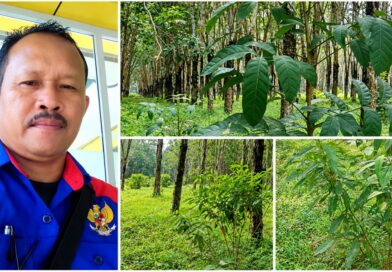AJH Sergai Minta APH Usut Dugaan Penyimpangan Anggaran Pemeliharaan Milik PTPN IV Regional 1 Kebun Tanah Raja