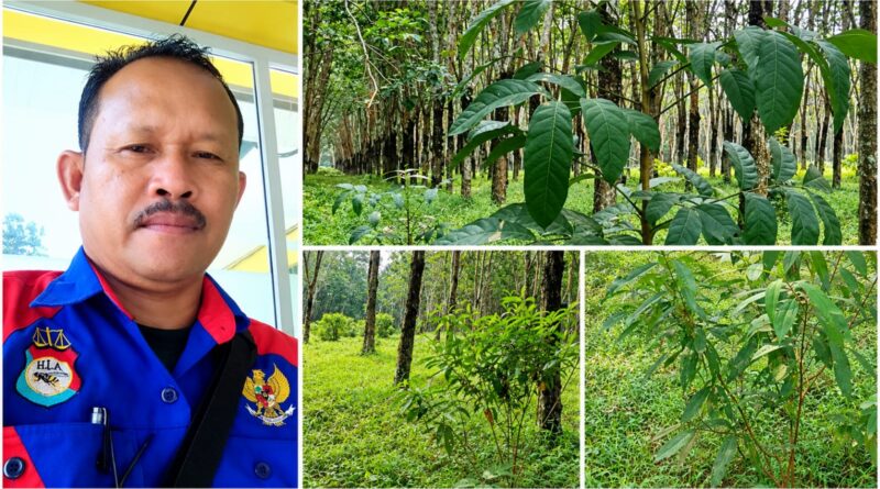 AJH Sergai Minta APH Usut Dugaan Penyimpangan Anggaran Pemeliharaan Milik PTPN IV Regional 1 Kebun Tanah Raja AJH Sergai Minta APH Usut Dugaan Penyimpangan Anggaran Pemeliharaan Milik PTPN IV Regional 1 Kebun Tanah Raja