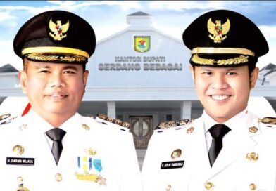 Kebutuhan Petani Terpenuhi, Ketua Kelompok Tani Desa Silaurakyat Ucapkan Terima Kasih Kepada Bupati dan Wakil Bupati Sergai