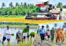 Produktivitas Naik, Petani Apresiasi Kinerja Dinas Pertanian Sergai Produktivitas Naik, Petani Apresiasi Kinerja Dinas Pertanian Sergai